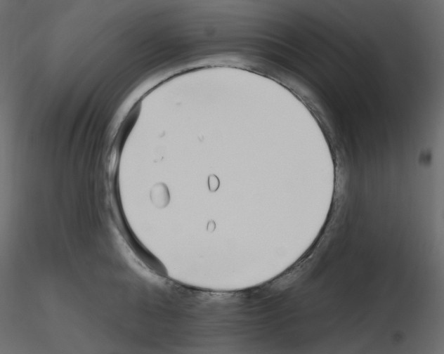 X0000115690808200912241500