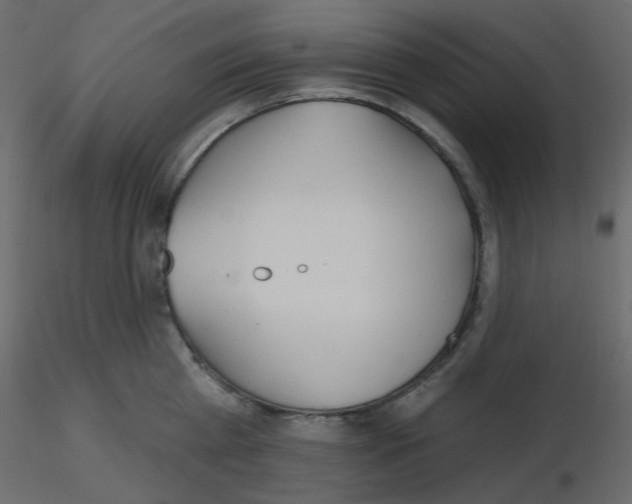 X0000115690809200912241500