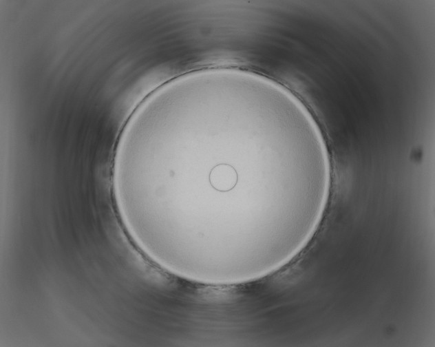 X0000115690810200912241500