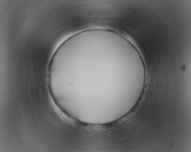 X0000115690811200912241500