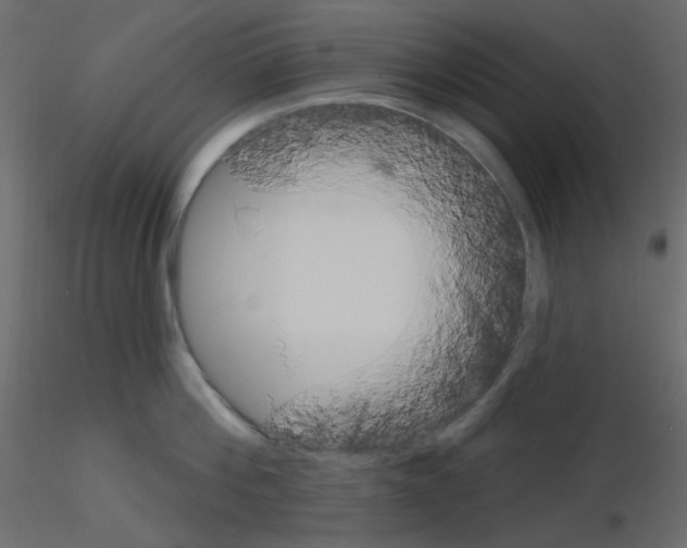 X0000115690812200912241500