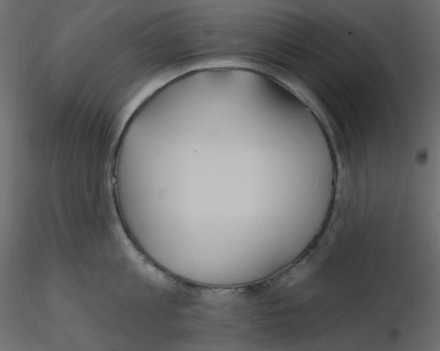 X0000115690813200912241500