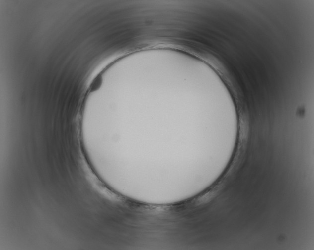 X0000115690814200912241500
