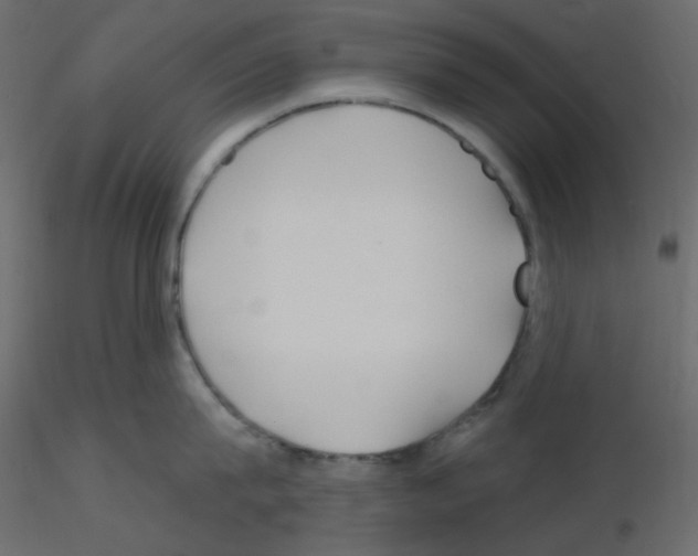 X0000115690815200912241500