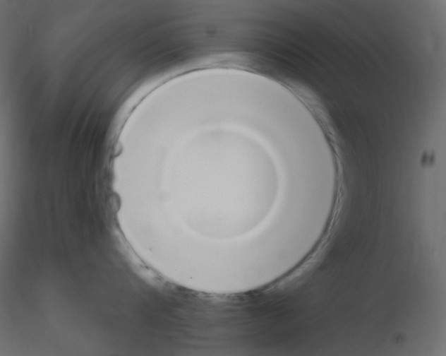 X0000115690816200912241500