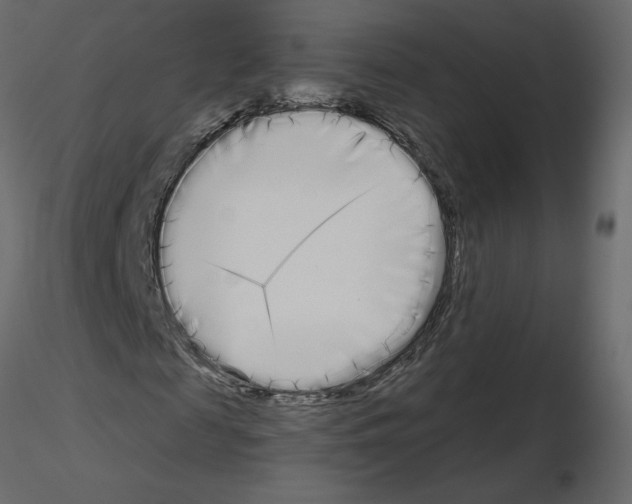 X0000115690817200912241500