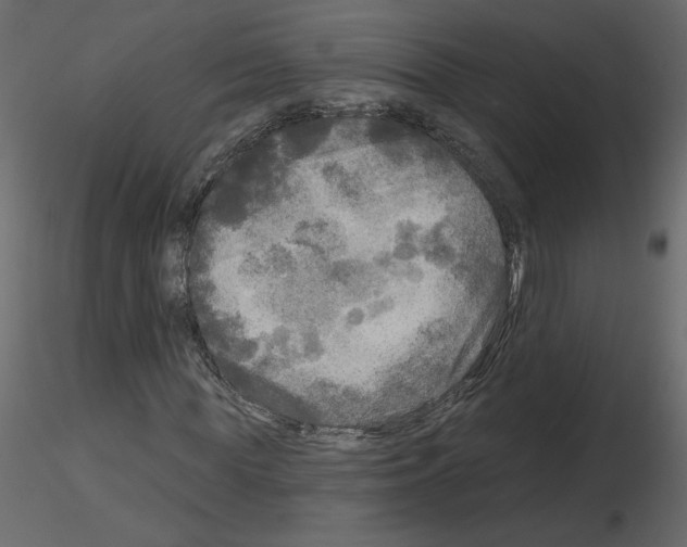 X0000115690819200912241500