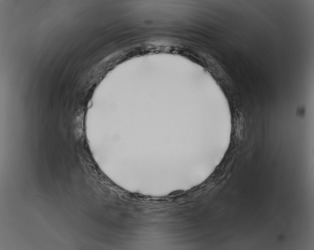 X0000115690821200912241500
