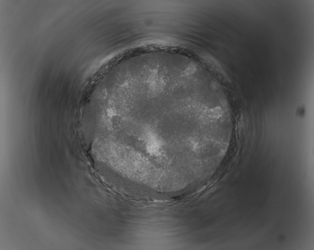 X0000115690822200912241500