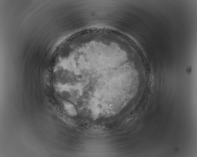 X0000115690823200912241500