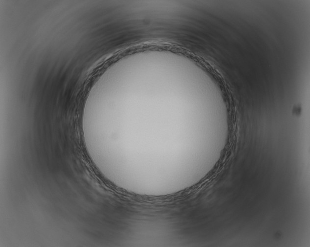 X0000115690824200912241500