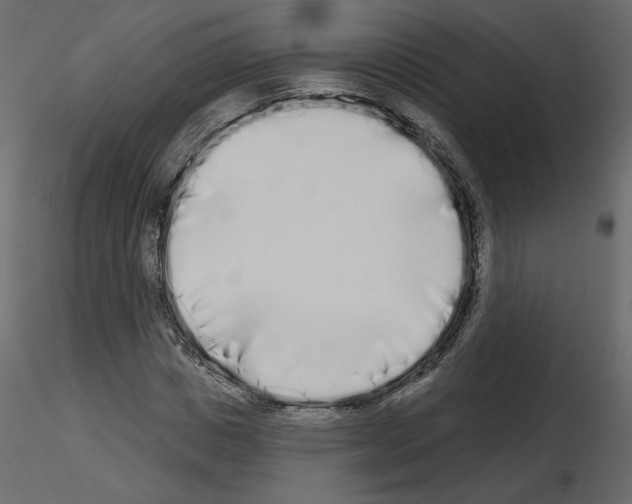 X0000115690825200912241500