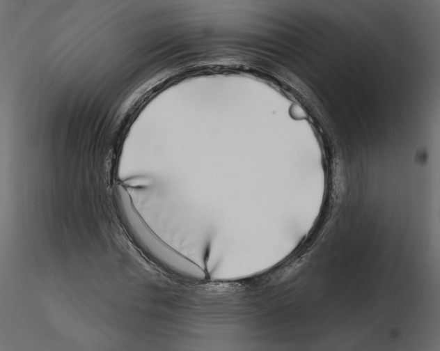 X0000115690826200912241500