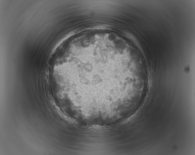 X0000115690827200912241500