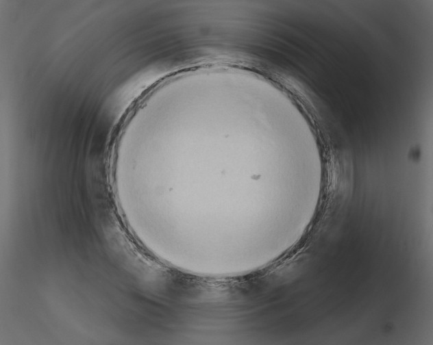 X0000115690828200912241500
