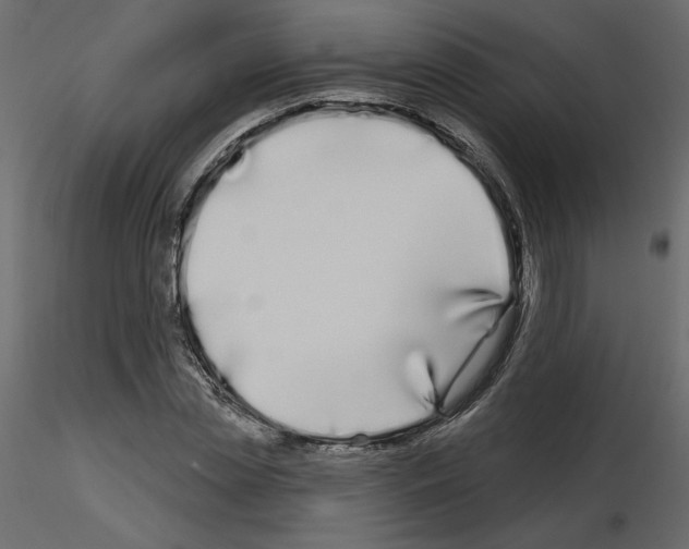 X0000115690829200912241500
