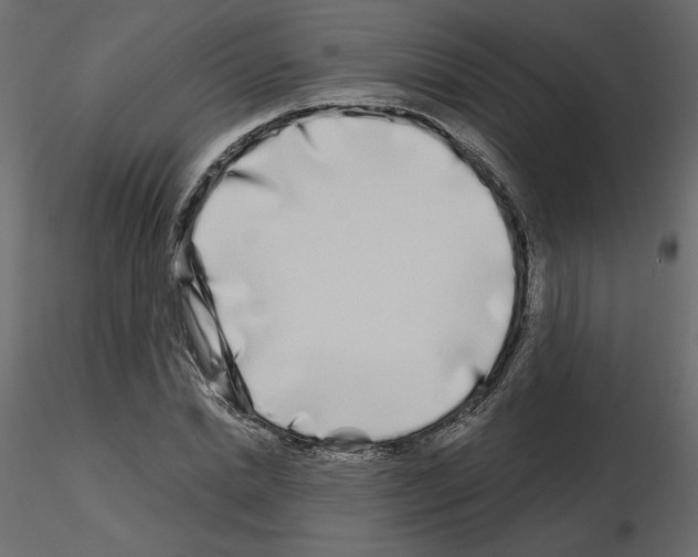 X0000115690830200912241500