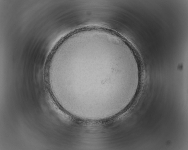 X0000115690832200912241500