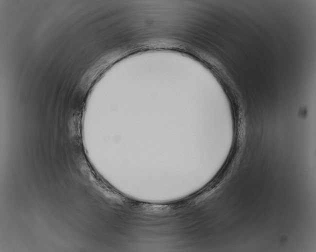 X0000115690833200912241500