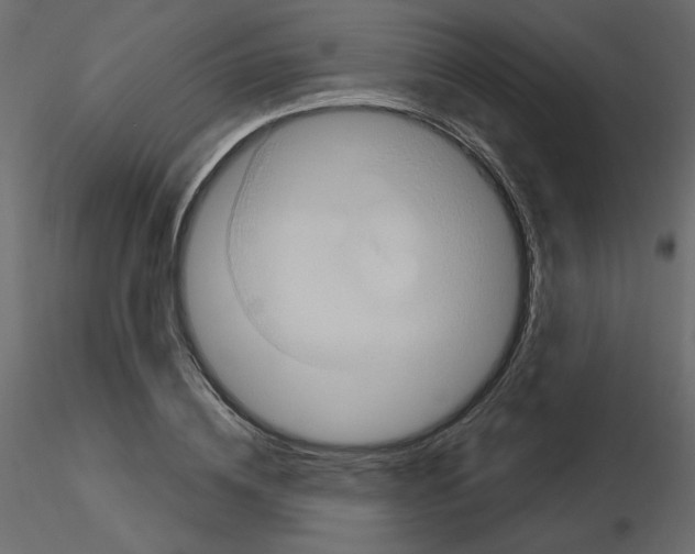 X0000115690836200912241500
