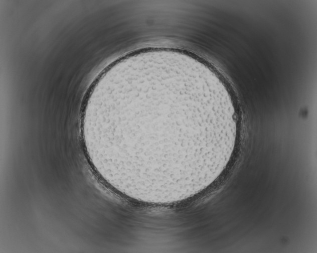 X0000115690837200912241500