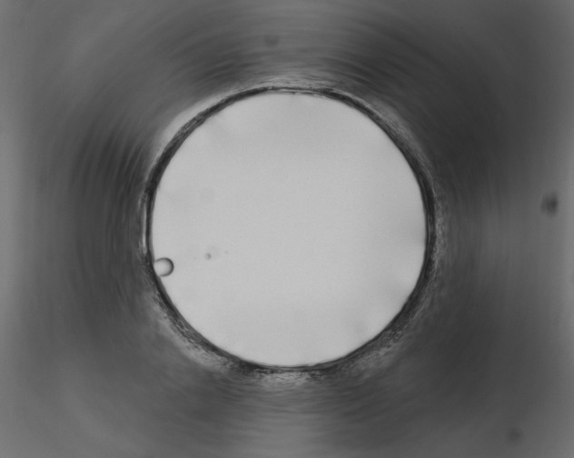 X0000115690838200912241500