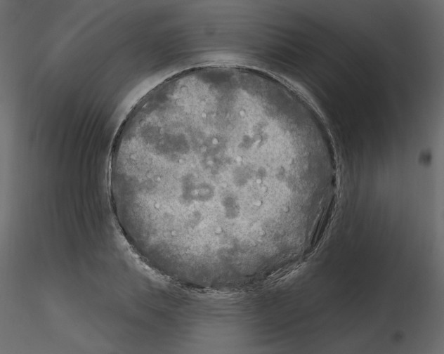 X0000115690839200912241500