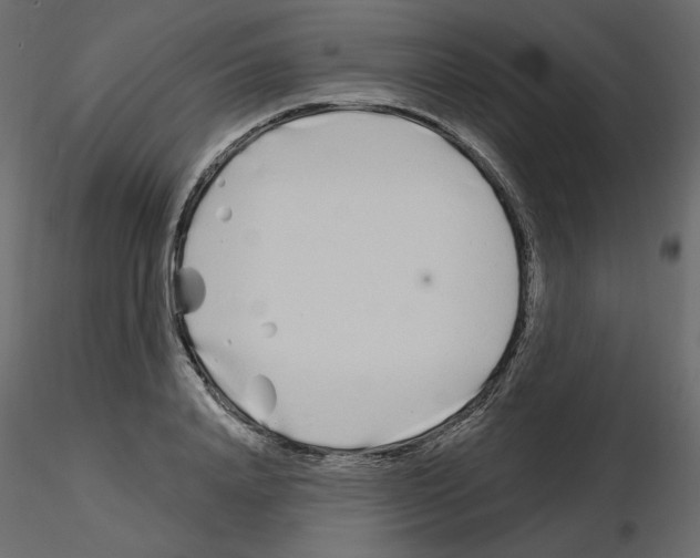 X0000115690840200912241500