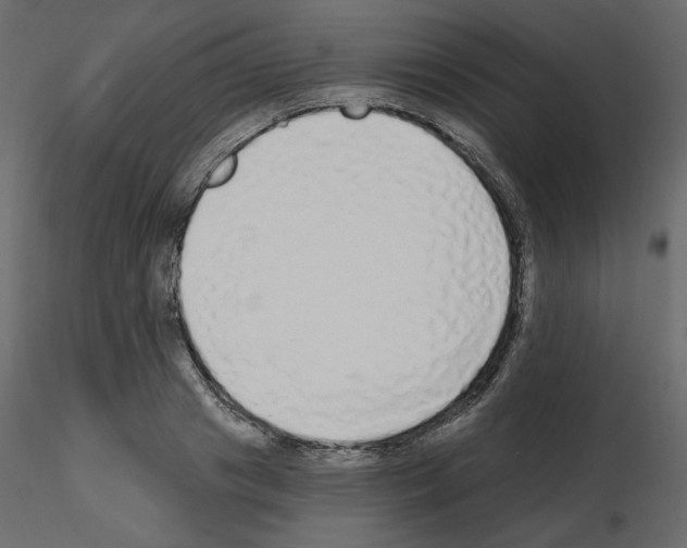 X0000115690841200912241500