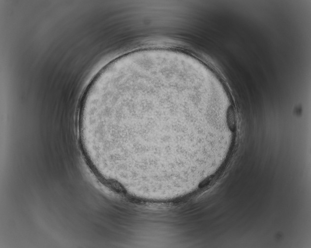 X0000115690843200912241500