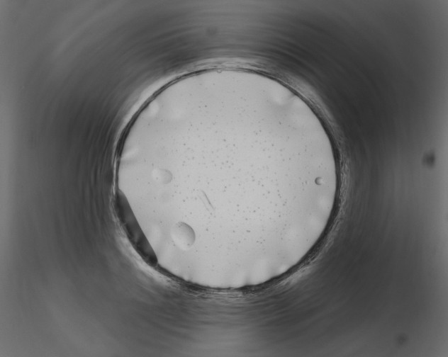 X0000115690844200912241500