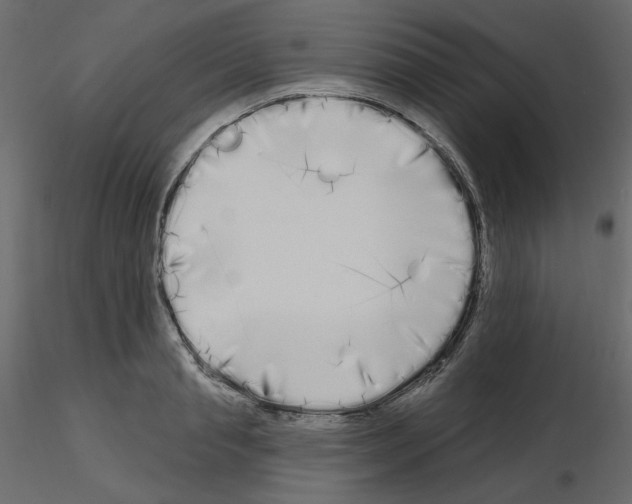 X0000115690845200912241500