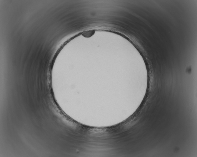 X0000115690846200912241500