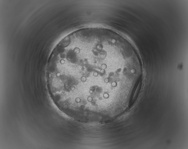 X0000115690847200912241500