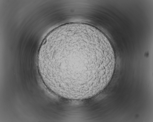 X0000115690848200912241500