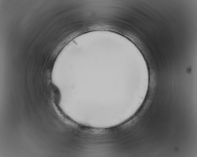 X0000115690849200912241500