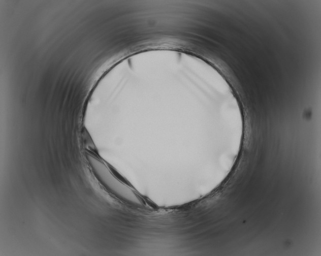 X0000115690850200912241500
