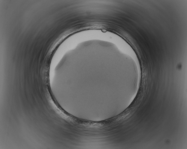 X0000115690851200912241500