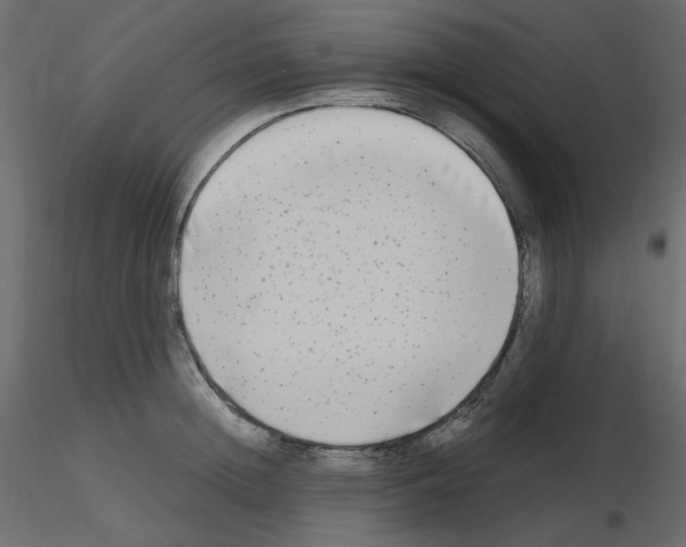 X0000115690852200912241500