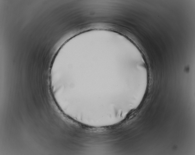 X0000115690853200912241500