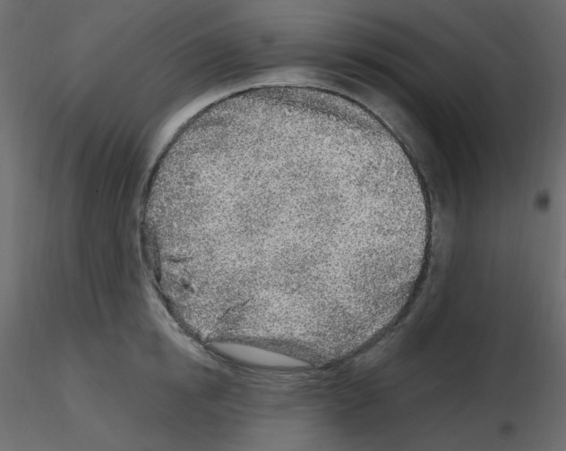 X0000115690854200912241500