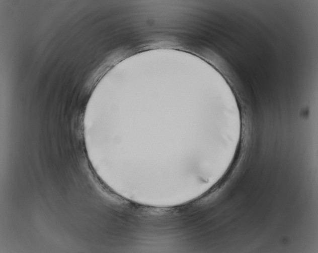 X0000115690857200912241500