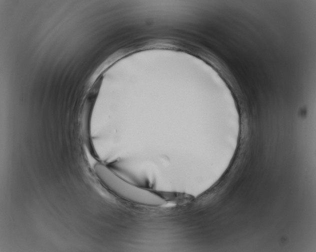 X0000115690858200912241500
