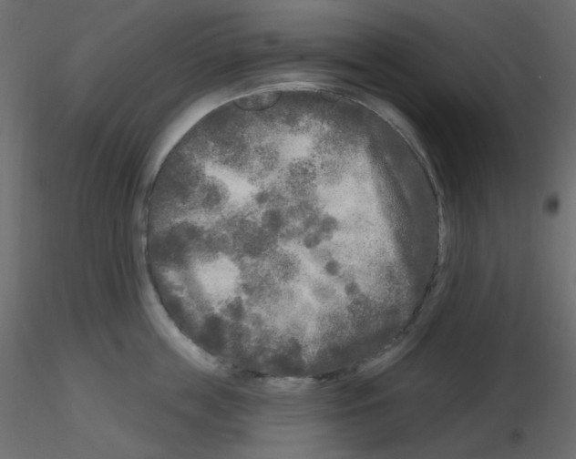 X0000115690859200912241500