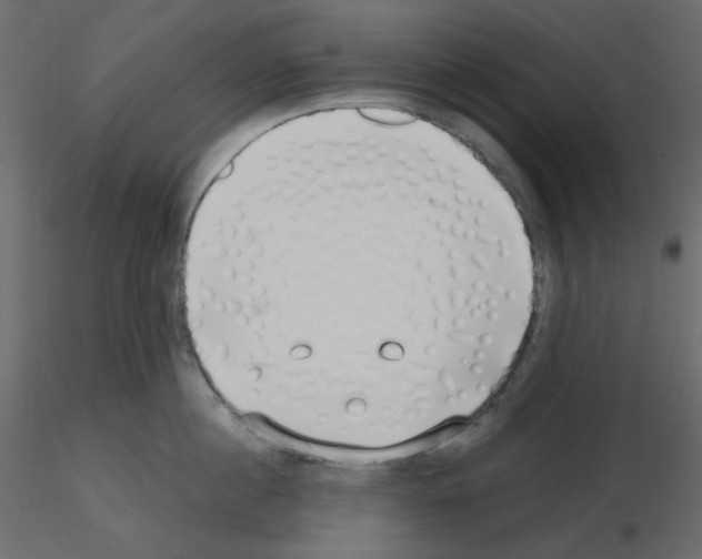 X0000115690860200912241500