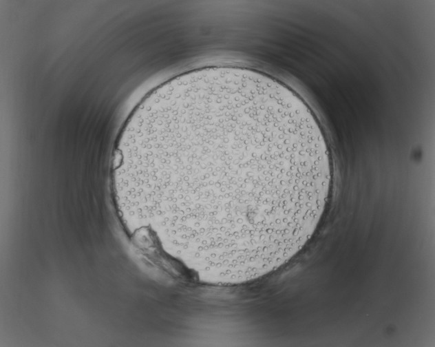 X0000115690861200912241500
