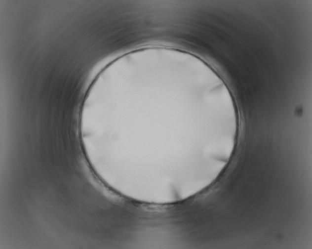 X0000115690862200912241500