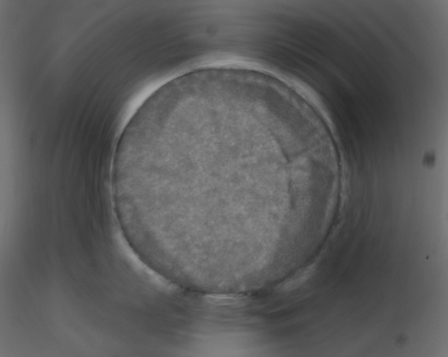 X0000115690863200912241500