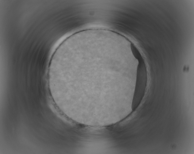 X0000115690864200912241500