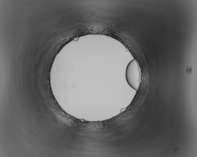 X0000115690865200912241500